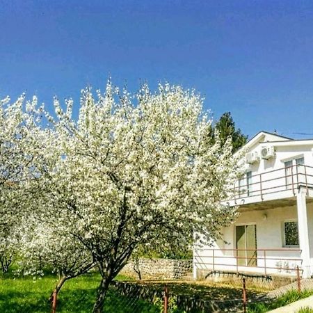 Apartments Pasha Blagaj Zewnętrze zdjęcie