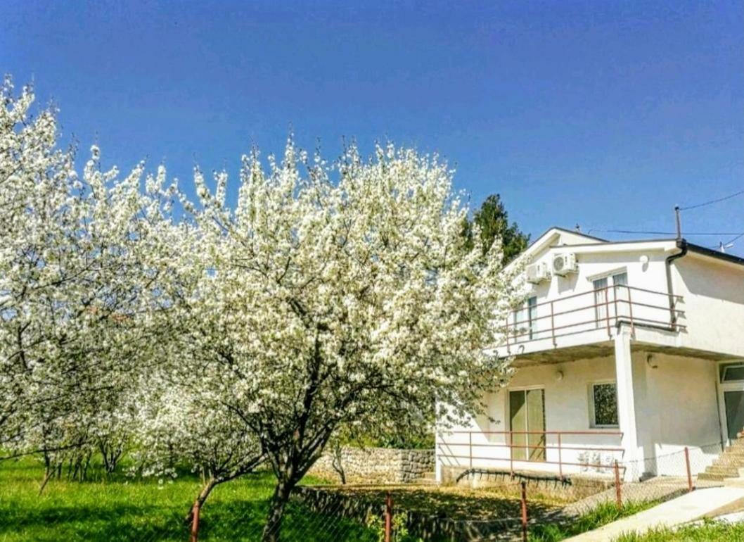 Apartments Pasha Blagaj Zewnętrze zdjęcie